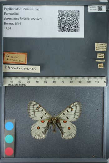 Media type: image;   Entomology 174295